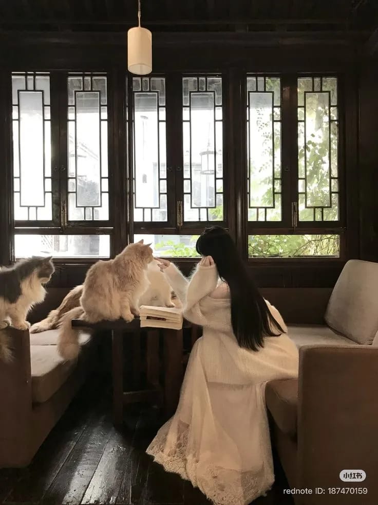 Ảnh bìa Sau Khi Nhận Được Giấy Báo Trúng Tuyển Đại Học, Tôi Đã Chặn Tất Cả Mọi Người